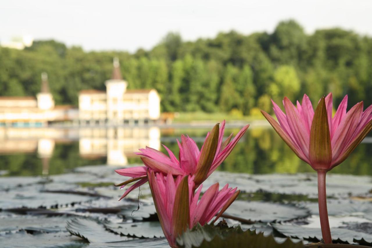 Piroska Villa Hévíz Exteriér fotografie